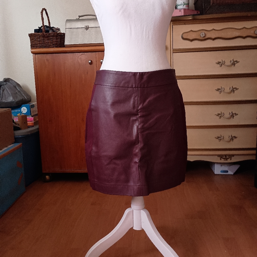 Paige leather skirt